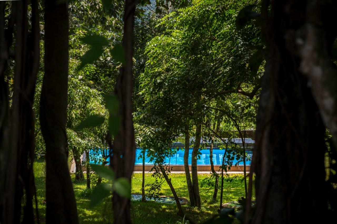 The Postcard Velha, Goa Hotel Old Goa Ngoại thất bức ảnh